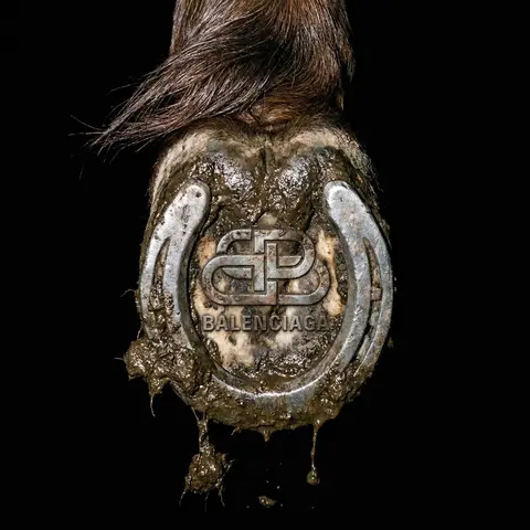 Mud-Covered Horse Hoof Flash Photography