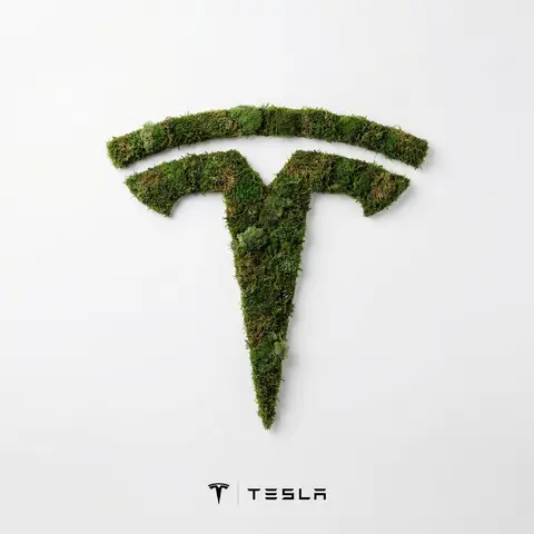 Moss Texture Logo Icon Art Direction