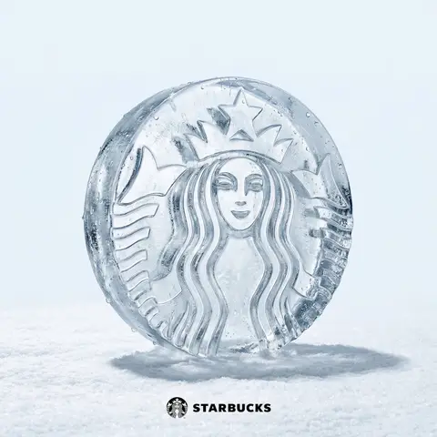 Ice Sculpture Logo Photography