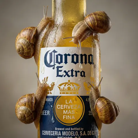 Surreal Snail Sculptural Product Still Life