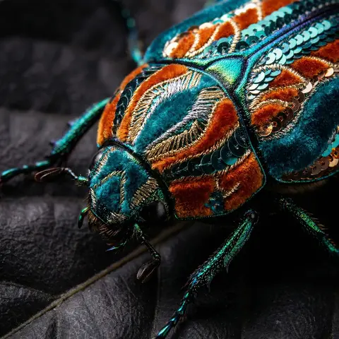 Hyper-Macro Insect High-Fashion Couture Shot